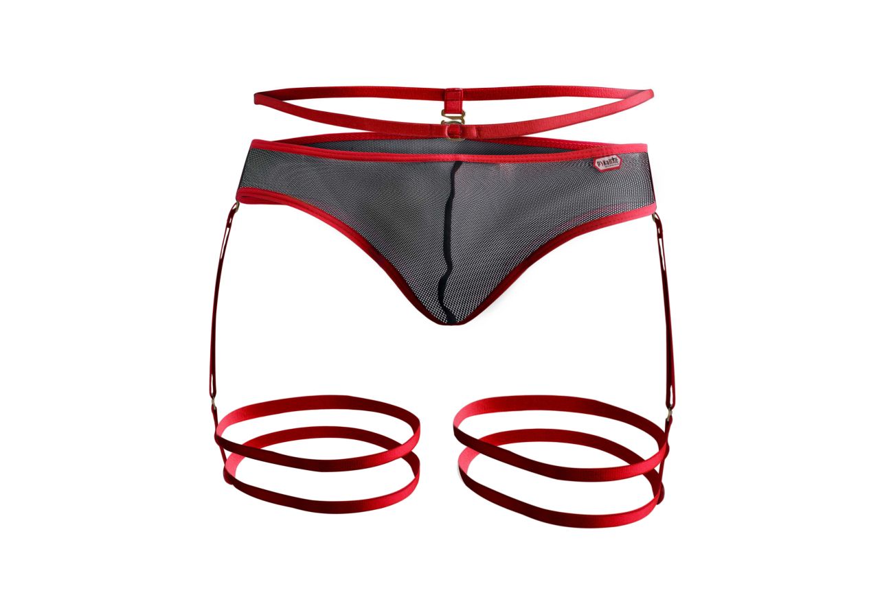 JCSTK - Pikante 1082 Lujueria Garter Thongs Red